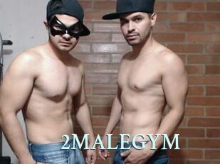 2MALEGYM