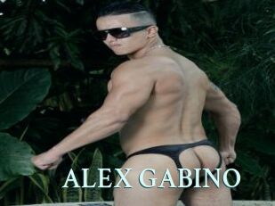 ALEX_GABINO
