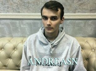 ANDREAS_N