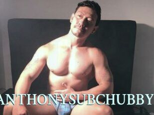 ANTHONYSUBCHUBBY