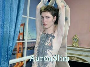 AaronSlim Ambiance Gay