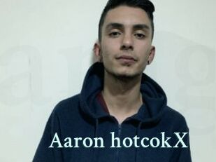 Aaron_hotcokX