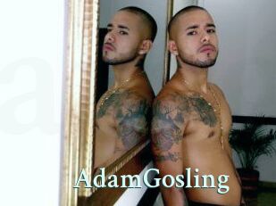 AdamGosling