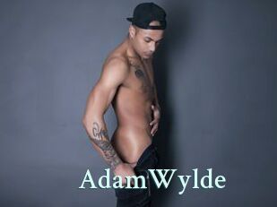 AdamWylde Ambiance Gay