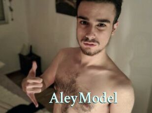 AleyModel