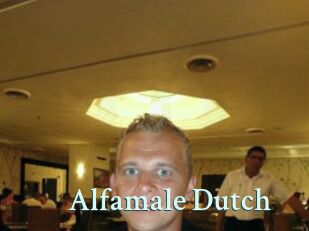 Alfamale_Dutch