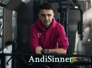 AndiSinner