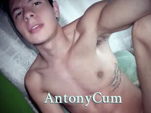 AntonyCum