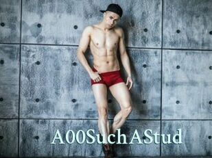 a00SuchAStud Ambiance Gay