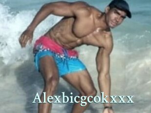 alexbicgcokxxx Ambiance Gay