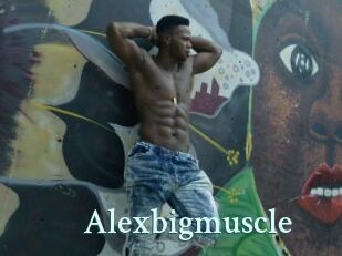 alexbigmuscle Ambiance Gay