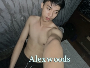 alexwoods Ambiance Gay