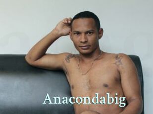 Anacondabig