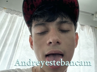Andreyestebancam