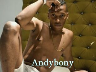 Andybony