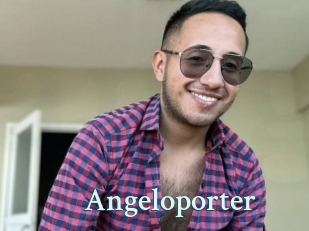 Angeloporter