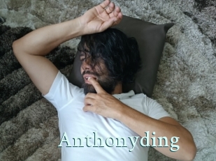anthonyding Ambiance Gay