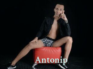Antonip
