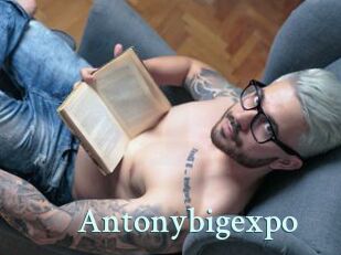 Antonybigexpo