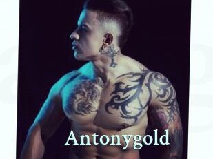 Antonygold