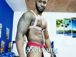 Axel_hung