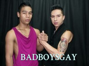 BADBOYSGAY