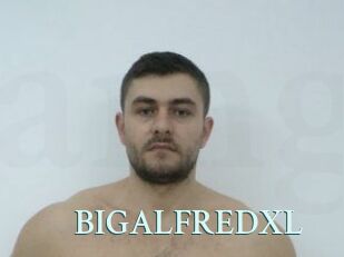 BIGALFREDXL