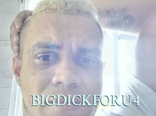 BIGDICKFORU4