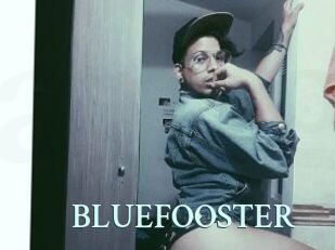 BLUEFOOSTER