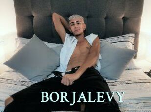 BORJALEVY
