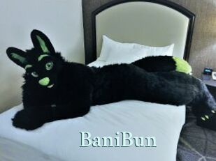 BaniBun