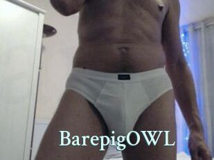 BarepigOWL