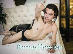 BarneyHowlett