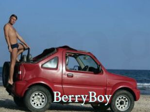 BerryBoy