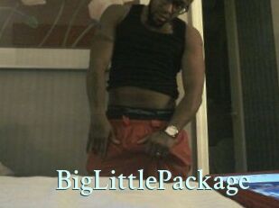 BigLittlePackage
