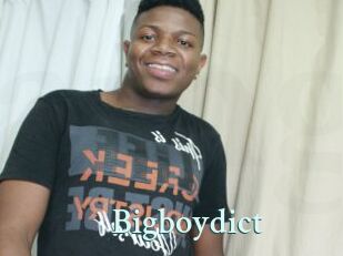 Bigboydict