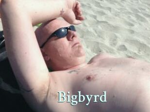 Bigbyrd