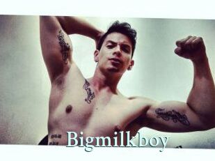 Bigmilkboy