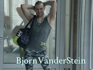 BjornVanderStein