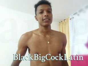BlackBigCockLatin