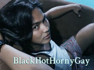 BlackHotHornyGay