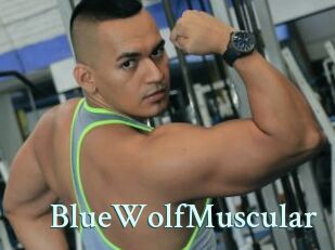 BlueWolfMuscular