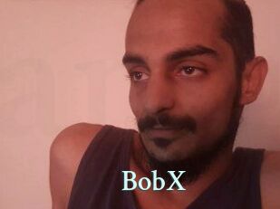BobX