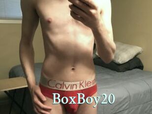 BoxBoy20