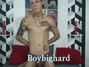 Boybighard