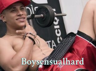 Boysensualhard
