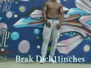 Brak_Dick11inches