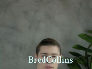 BredCollins