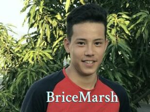 BriceMarsh