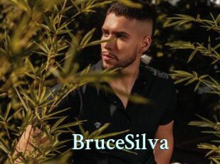BruceSilva